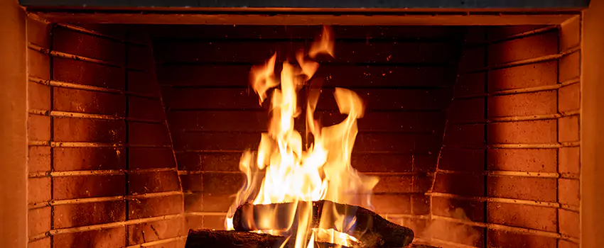 Soot Cleanup Services in Algonquin, IL