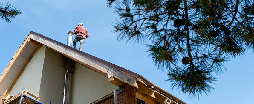 Birds Removal Contractors from Chimney in Algonquin, IL