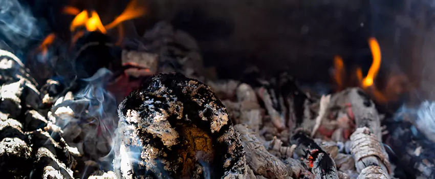 Creosote Removal Experts in Algonquin, IL