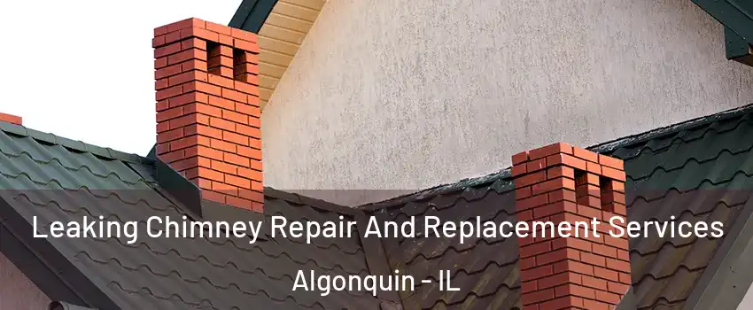  Leaking Chimney Repair And Replacement Services Algonquin - IL