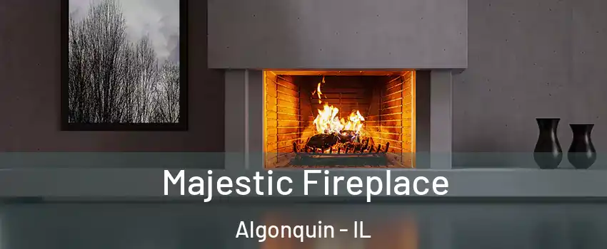  Majestic Fireplace Algonquin - IL