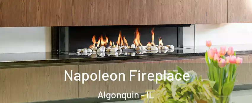  Napoleon Fireplace Algonquin - IL