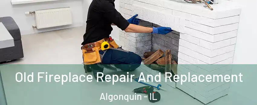  Old Fireplace Repair And Replacement Algonquin - IL