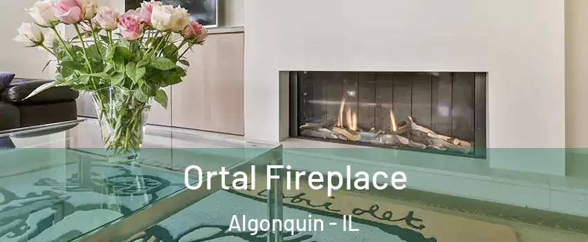 Ortal Fireplace Algonquin - IL