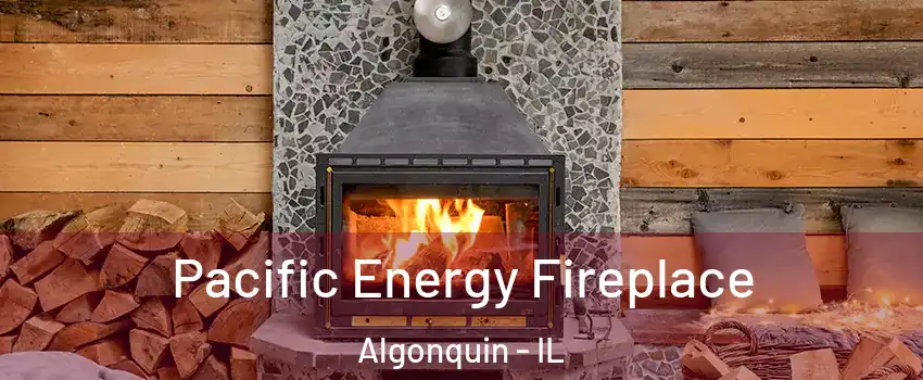  Pacific Energy Fireplace Algonquin - IL