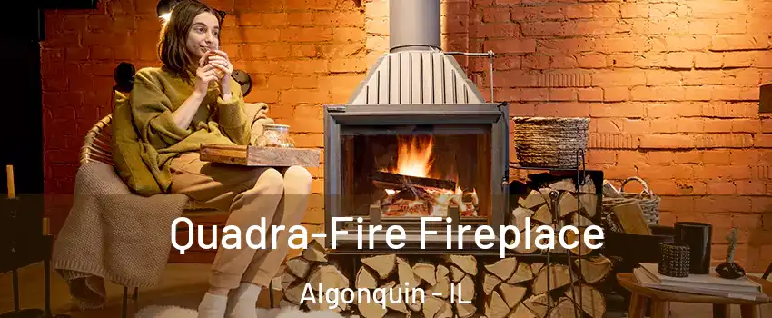  Quadra-Fire Fireplace Algonquin - IL