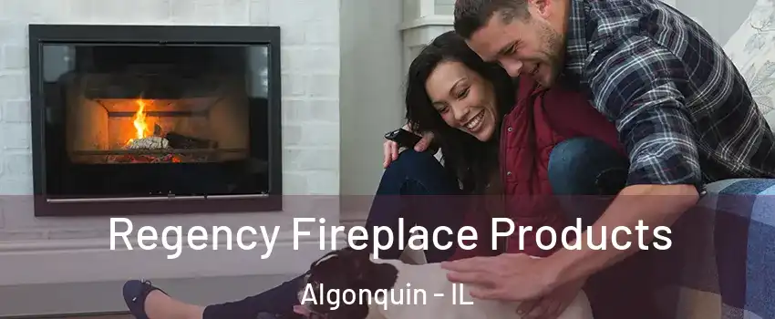  Regency Fireplace Products Algonquin - IL