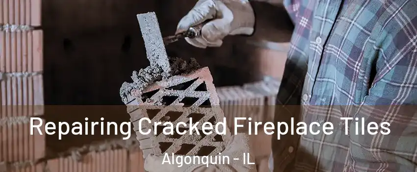  Repairing Cracked Fireplace Tiles Algonquin - IL