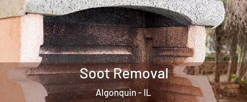  Soot Removal Algonquin - IL