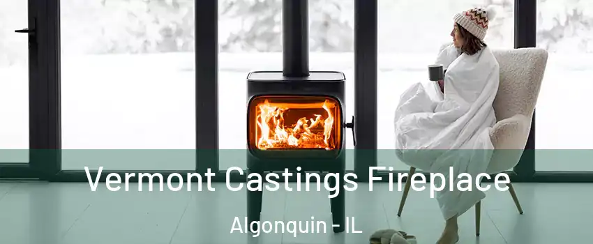  Vermont Castings Fireplace Algonquin - IL